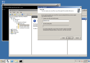Windows DNS Server